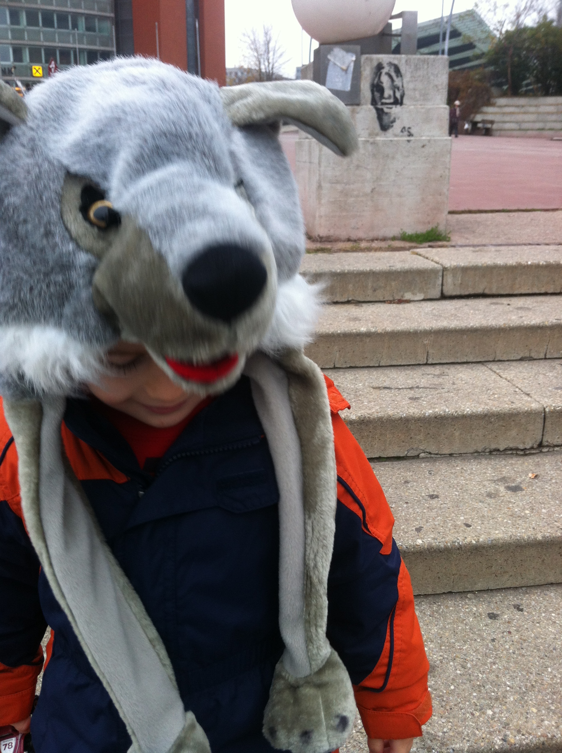 Real wolf store hat